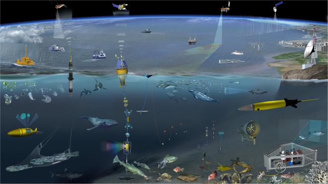 Ocean observing systems including moored buoys, profiling floats, gliders and satellites